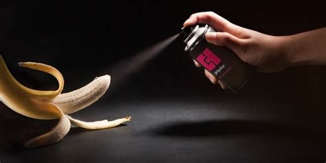 Blowjob without Condom Erotic massage Pula